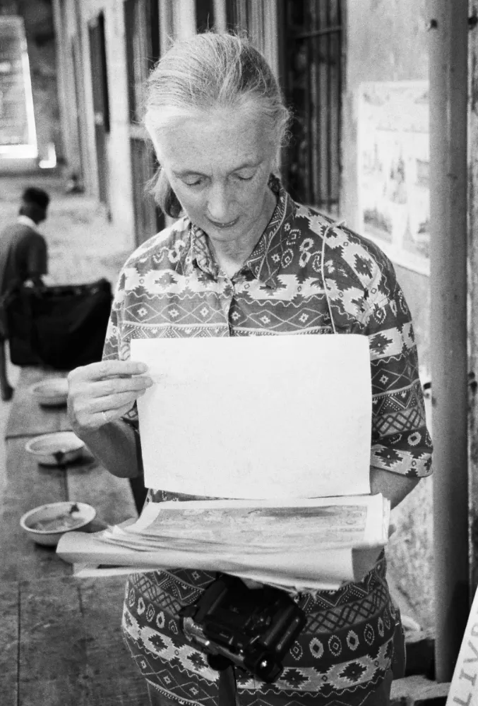 Jane Goodall at Mith Samlanh